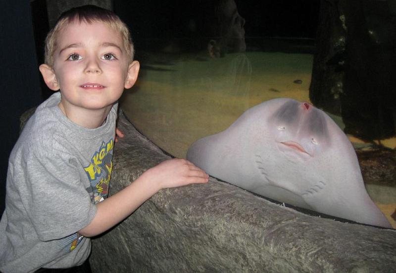 guitar fish.jpg